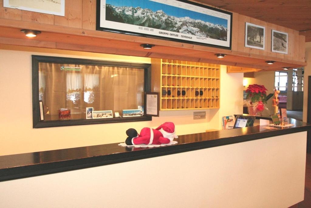Hotel Santa Caterina サンタ・カテリーナ・ヴァルフルヴァ エクステリア 写真